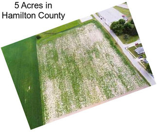 5 Acres in Hamilton County