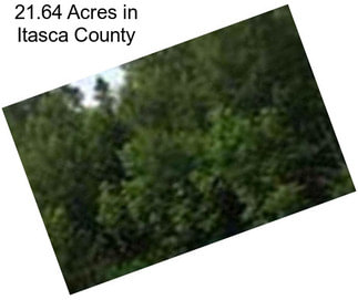 21.64 Acres in Itasca County