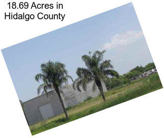 18.69 Acres in Hidalgo County