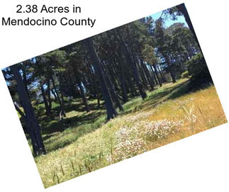 2.38 Acres in Mendocino County