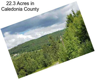 22.3 Acres in Caledonia County