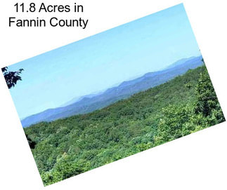 11.8 Acres in Fannin County