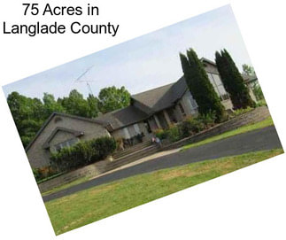 75 Acres in Langlade County