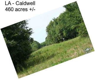 LA - Caldwell 460 acres +/-