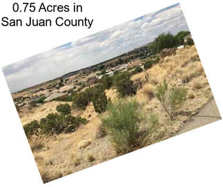 0.75 Acres in San Juan County