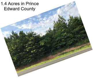 1.4 Acres in Prince Edward County