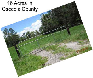 16 Acres in Osceola County