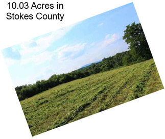 10.03 Acres in Stokes County