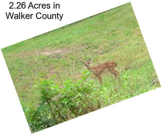 2.26 Acres in Walker County