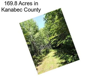 169.8 Acres in Kanabec County