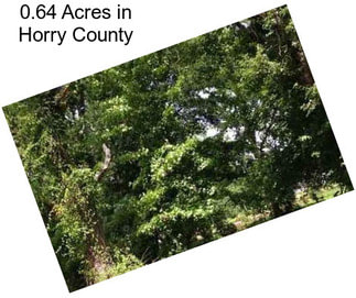 0.64 Acres in Horry County