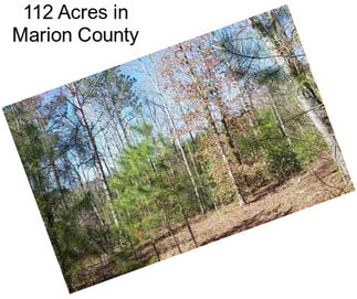 112 Acres in Marion County