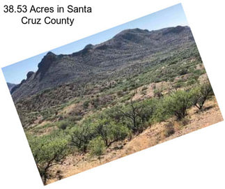 38.53 Acres in Santa Cruz County