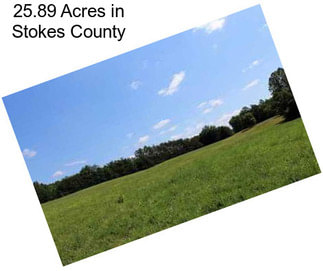 25.89 Acres in Stokes County