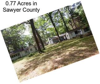 0.77 Acres in Sawyer County