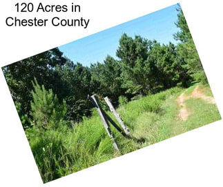 120 Acres in Chester County