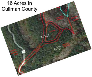 16 Acres in Cullman County