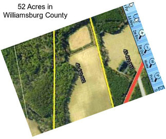 52 Acres in Williamsburg County