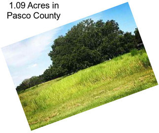 1.09 Acres in Pasco County