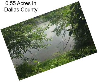 0.55 Acres in Dallas County