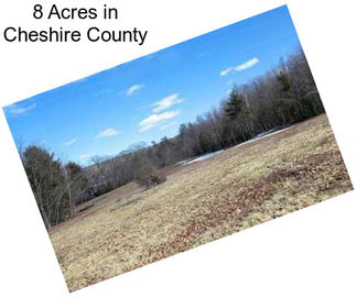 8 Acres in Cheshire County