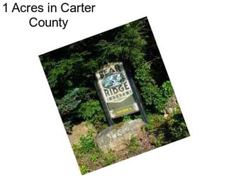 1 Acres in Carter County