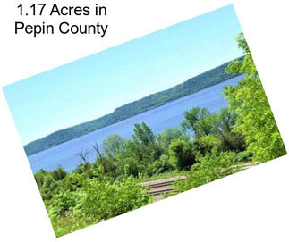 1.17 Acres in Pepin County