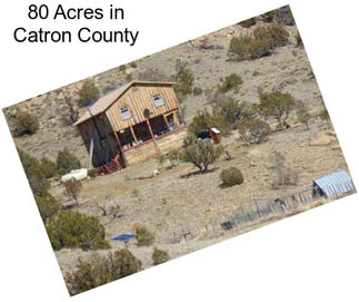 80 Acres in Catron County