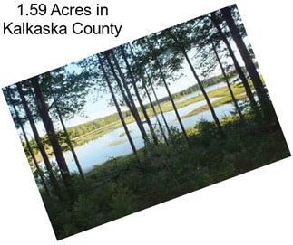 1.59 Acres in Kalkaska County