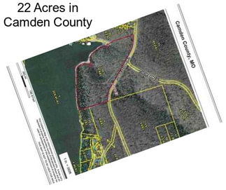 22 Acres in Camden County