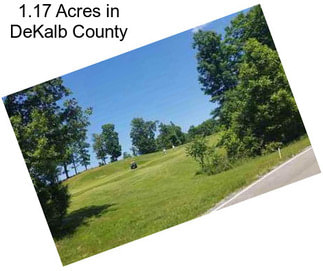 1.17 Acres in DeKalb County