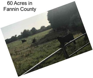 60 Acres in Fannin County