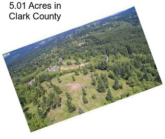 5.01 Acres in Clark County