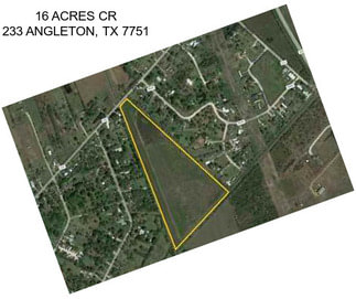 16 ACRES CR 233 ANGLETON, TX 7751