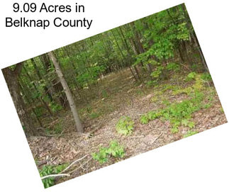 9.09 Acres in Belknap County