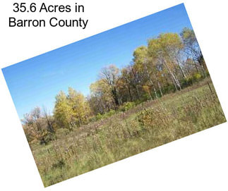 35.6 Acres in Barron County