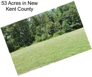 53 Acres in New Kent County