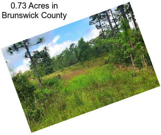 0.73 Acres in Brunswick County