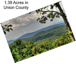 1.39 Acres in Union County