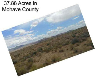37.88 Acres in Mohave County
