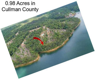 0.98 Acres in Cullman County