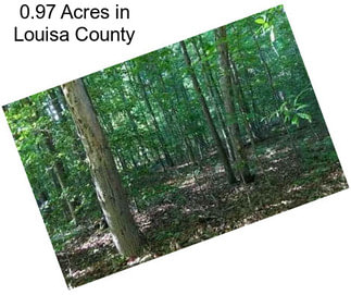 0.97 Acres in Louisa County