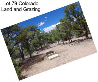 Lot 79 Colorado Land and Grazing