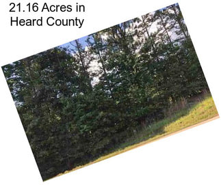 21.16 Acres in Heard County