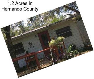 1.2 Acres in Hernando County