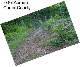 0.87 Acres in Carter County