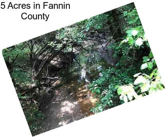 5 Acres in Fannin County