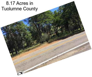 8.17 Acres in Tuolumne County