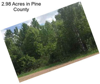 2.98 Acres in Pine County