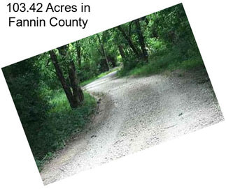 103.42 Acres in Fannin County